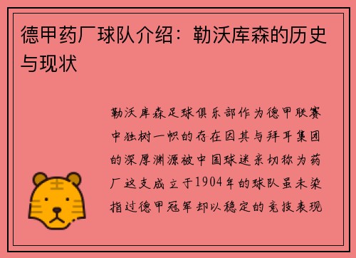 德甲药厂球队介绍：勒沃库森的历史与现状